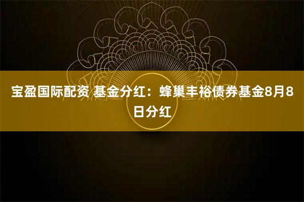 宝盈国际配资 基金分红：蜂巢丰裕债券基金8月8日分红