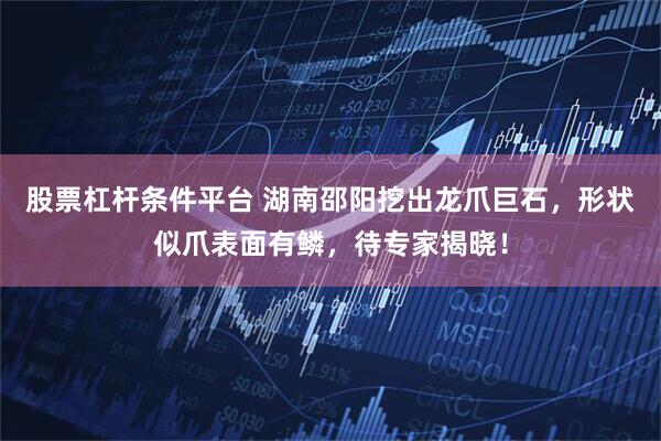 股票杠杆条件平台 湖南邵阳挖出龙爪巨石，形状似爪表面有鳞，待专家揭晓！