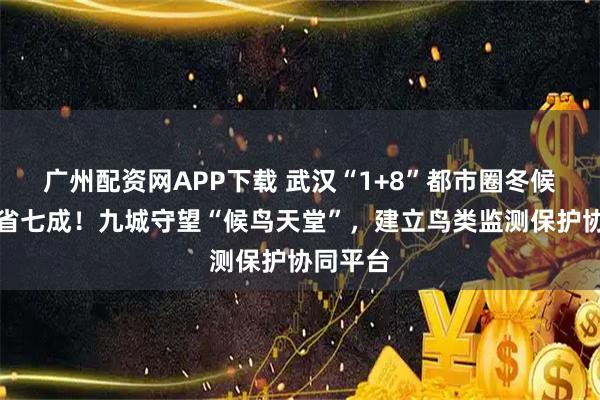 广州配资网APP下载 武汉“1+8”都市圈冬候鸟占全省七成！九城守望“候鸟天堂”，建立鸟类监测保护协同平台