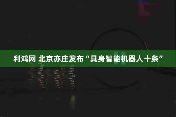 利鸿网 北京亦庄发布“具身智能机器人十条”