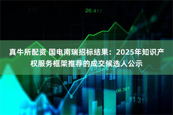 真牛所配资 国电南瑞招标结果：2025年知识产权服务框架推荐的成交候选人公示